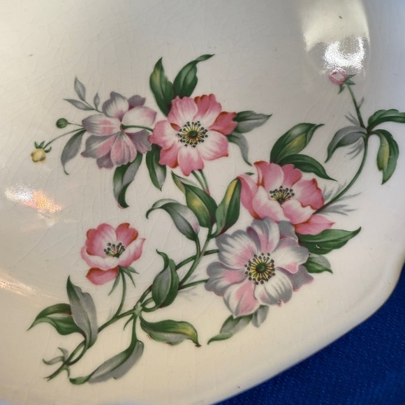 Beautiful Set of 2 Cottage Wild Rose Dinner Plates